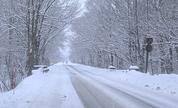 冬の雪道運転に備える補償と特約