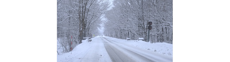 冬の雪道運転に備える補償と特約