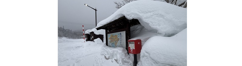 豪雪地帯でおすすめの車両保険オプション