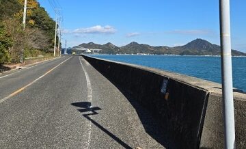 海沿い地域特有の塩害リスクと保険