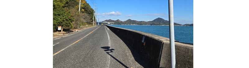 海沿い地域特有の塩害リスクと保険