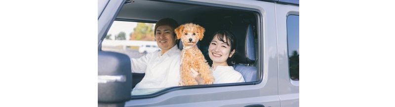 ペット搭乗中補償特約