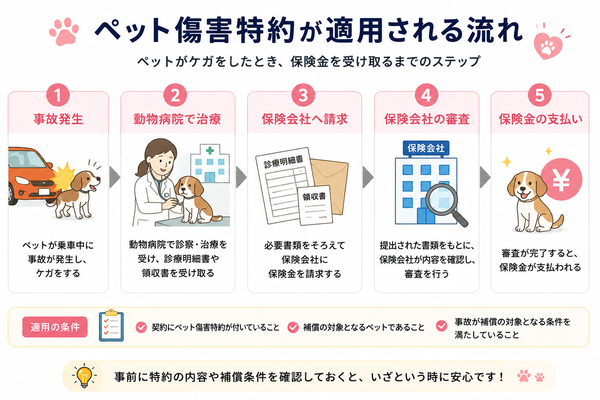 ペット傷害特約が適用される流れ